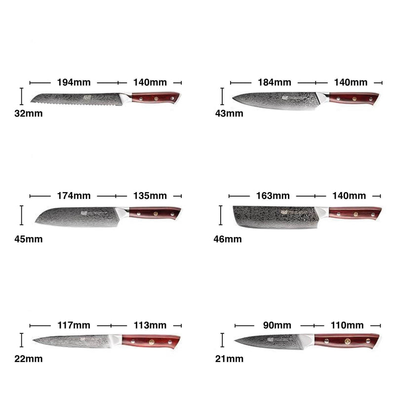 Set di 6 coltelli giapponesi <br>Lama Damasco </br>Manico in palissandro
